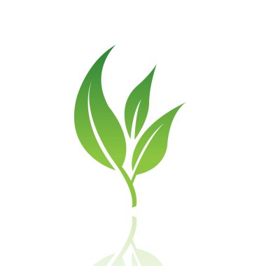 Leaf 8 clipart