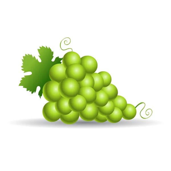 Zielone winogrona — Wektor stockowy