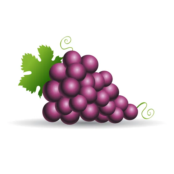 Uvas púrpuras — Vector de stock