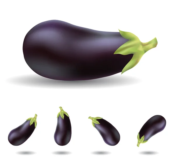 Eggplants — Wektor stockowy