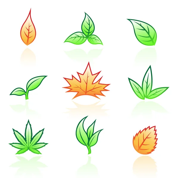 Γυαλιστερά φύλλα — Διανυσματικό Αρχείο