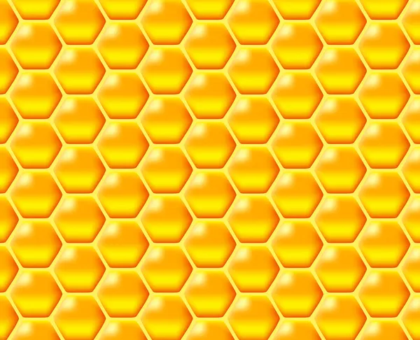 Honeycomb — Stock Vector