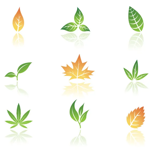 Icone delle foglie — Vettoriale Stock