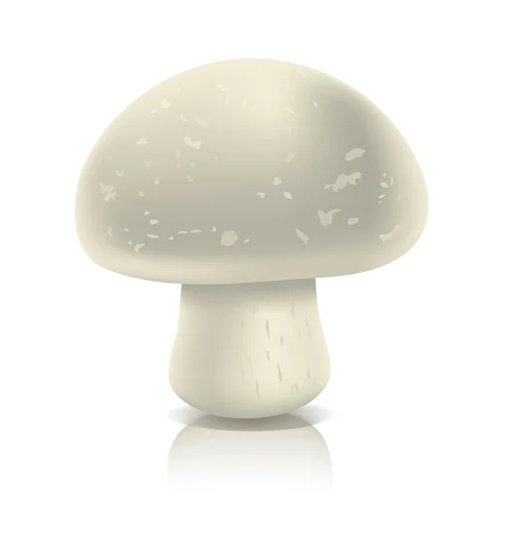 Gray mushroom — Stock Vector