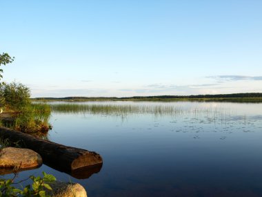 Evening on lake clipart