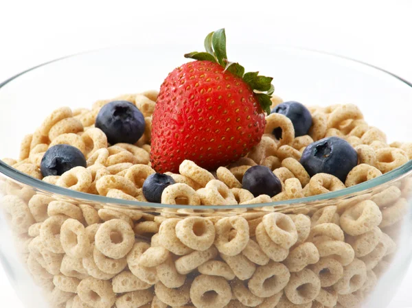Bowl of oat cereal with blueberries — Stock Photo, Image