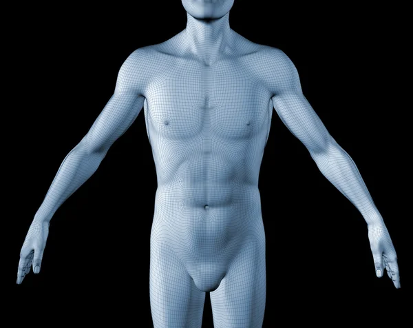3D umano — Foto Stock