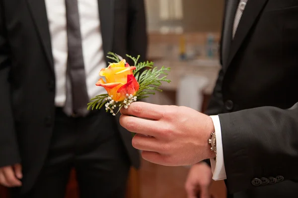 Blomma och hand — Stockfoto