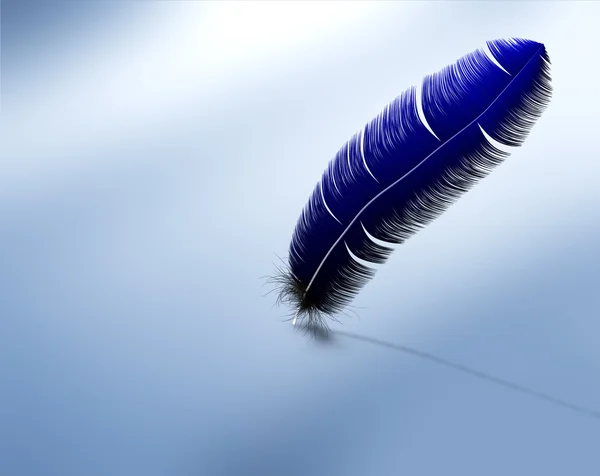 stock image Feather