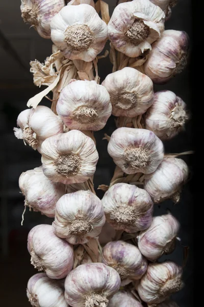 Stock image Garlic