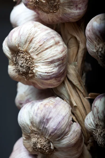 stock image Garlic