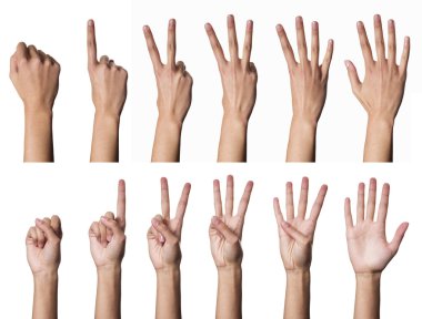 Female hands counting clipart