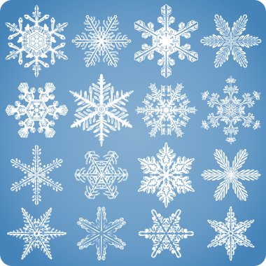 Realistic Natural Snowflake Set clipart