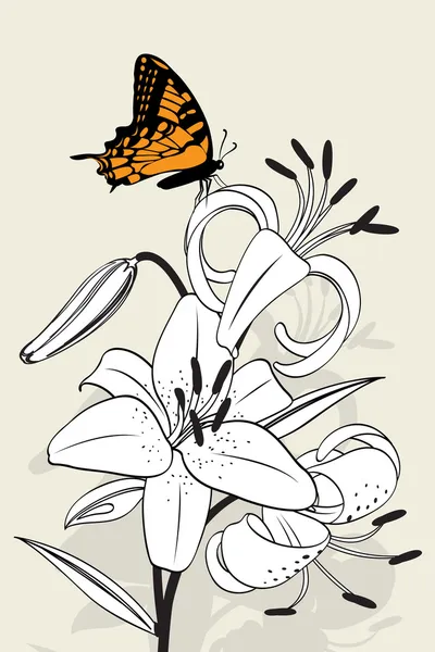 Tiger lily line — Stock Vector