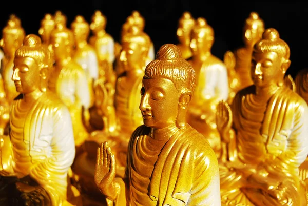 黄金の仏像の多く — ストック写真