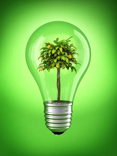 stock image Natural bulb