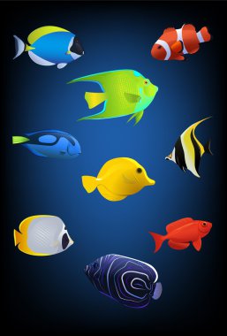 Vector fish collection clipart