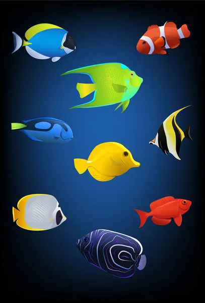 魚のベクトル コレクション — ストックベクタ