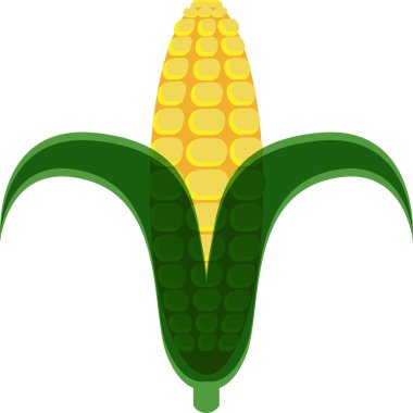 Corn Cob clipart