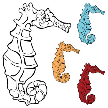 Seahorse Drawing clipart