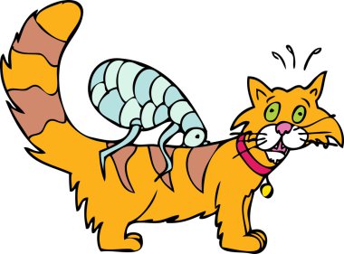 Cat has Fleas clipart