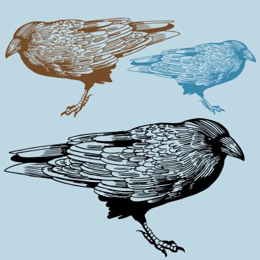 Crow clipart