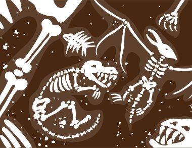 Dinosaur Fossils and Bones clipart