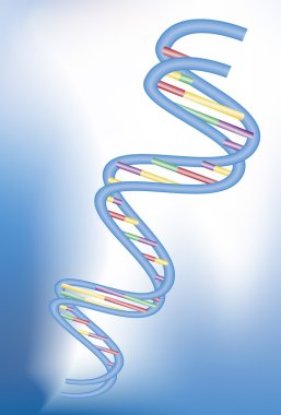 DNA - 3D clipart