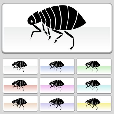 Flea clipart