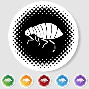 Flea clipart