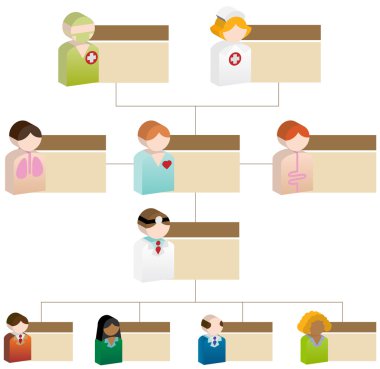 Diversity Organizational Chart - 3D Healthcare clipart