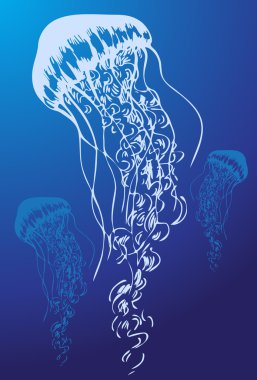 Jellyfish clipart