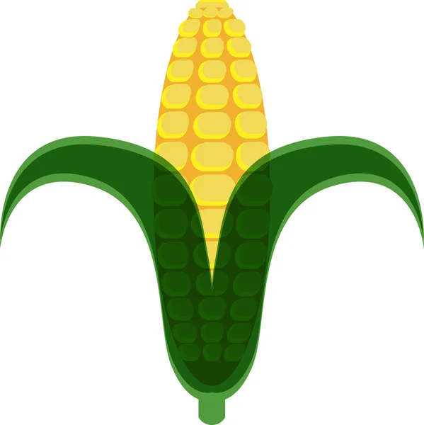 Mazorca de maíz — Archivo Imágenes Vectoriales
