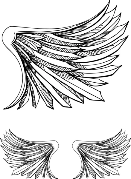 手工绘制的翅膀 — 图库矢量图片