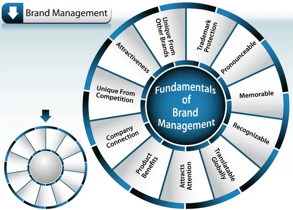 Brand management kolo — Stockový vektor