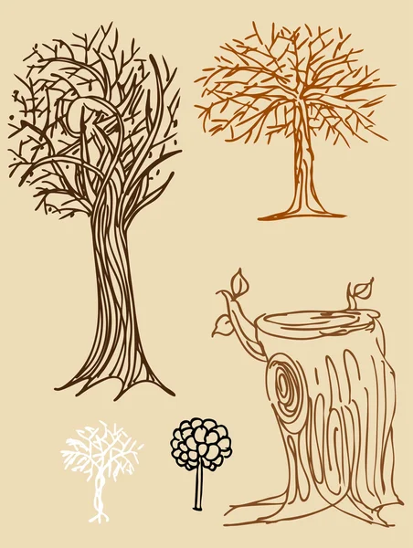 Ağaç dalları — Stok Vektör