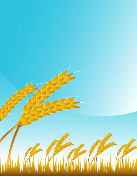 Wheat Field — Stock Vector