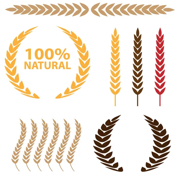 Set di icone di grano — Vettoriale Stock