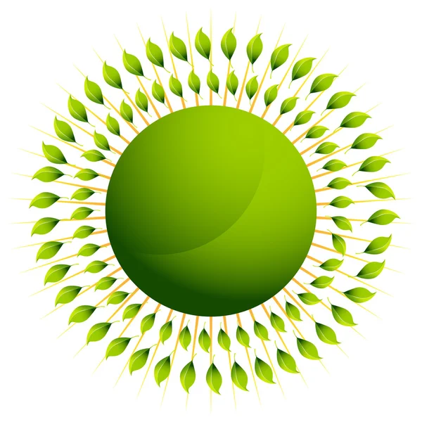 Zelená listová slunce — Stockový vektor