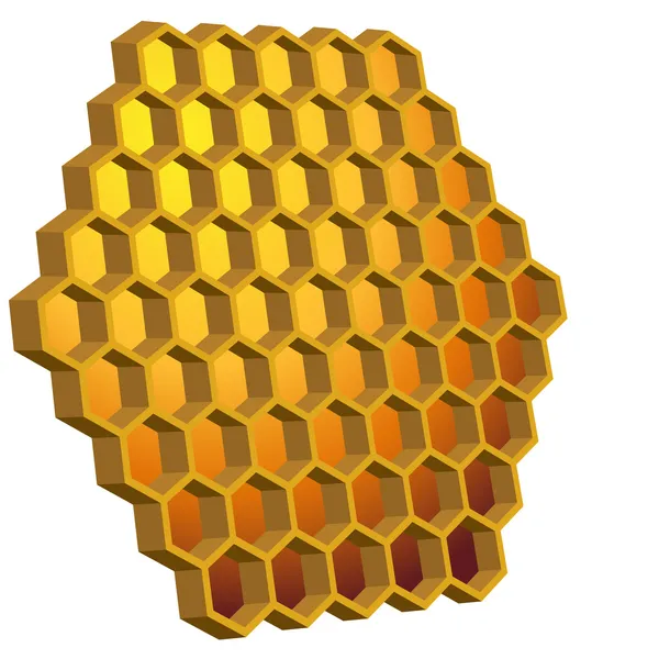 Honingraat korf — Stockvector