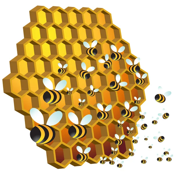 Miel de abejas — Vector de stock