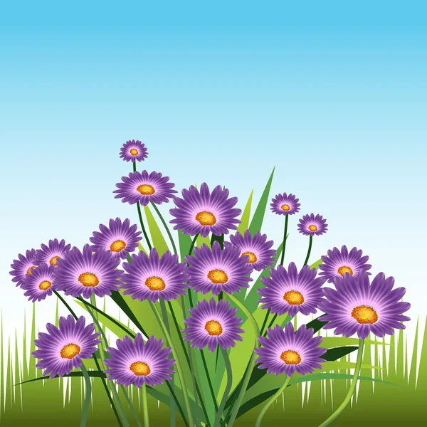 Marguerites violettes — Image vectorielle