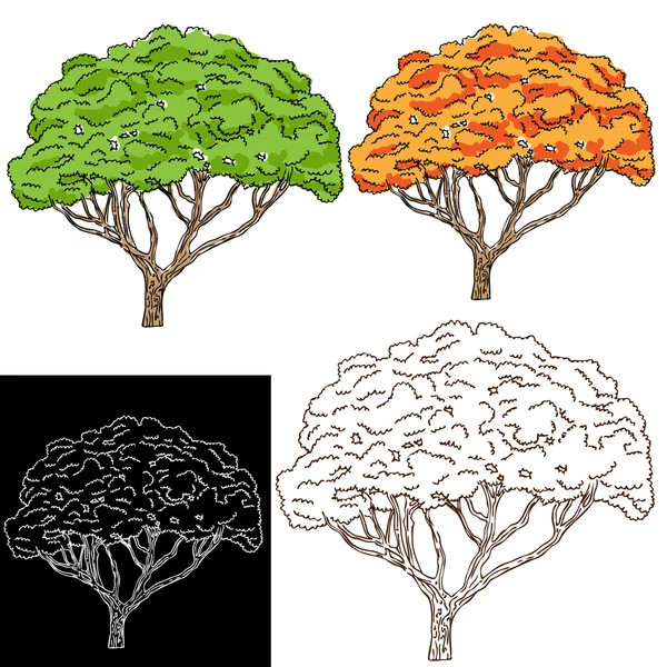 Ağaç çizimi — Stok Vektör