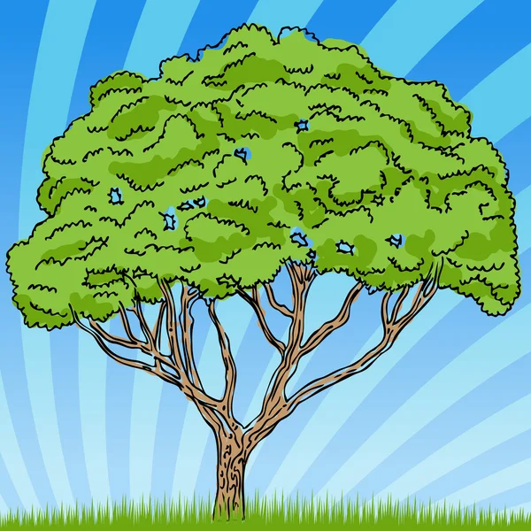 Bosquejo de dibujo de árbol — Vector de stock