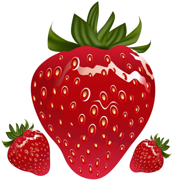 Realistic Strawberry — Stock Vector