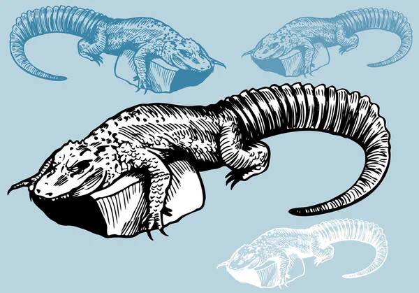 Alligator-Zeichnung — Stockvektor