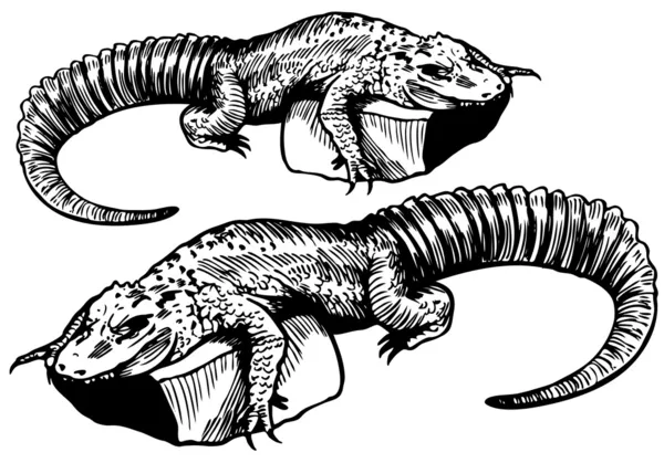 Alligator Sketch - black and white — Stock Vector