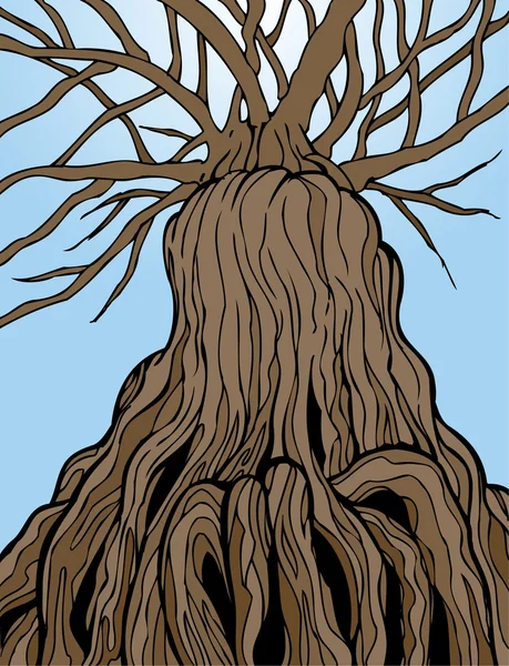 Ældgammelt træ – Stock-vektor