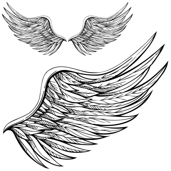 Kreskówka skrzydła — Wektor stockowy