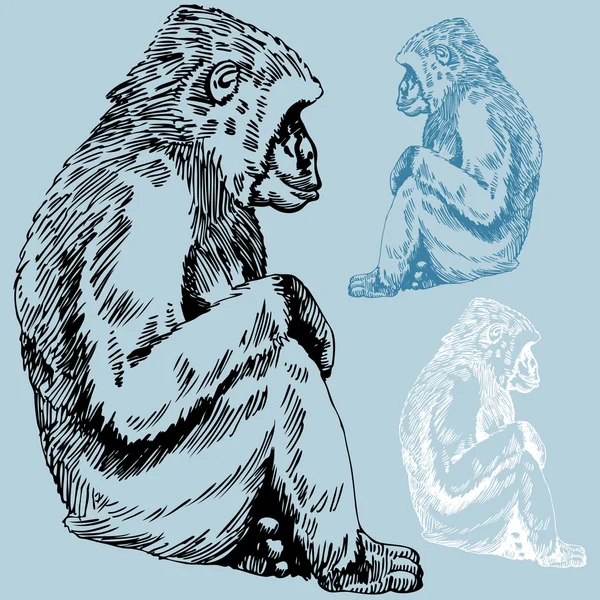 Dibujo de mono — Archivo Imágenes Vectoriales